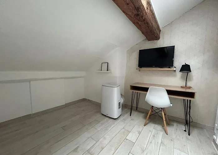 Apartment Lumineux Centre