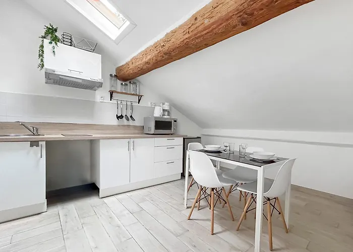 Apartment Lumineux Centre