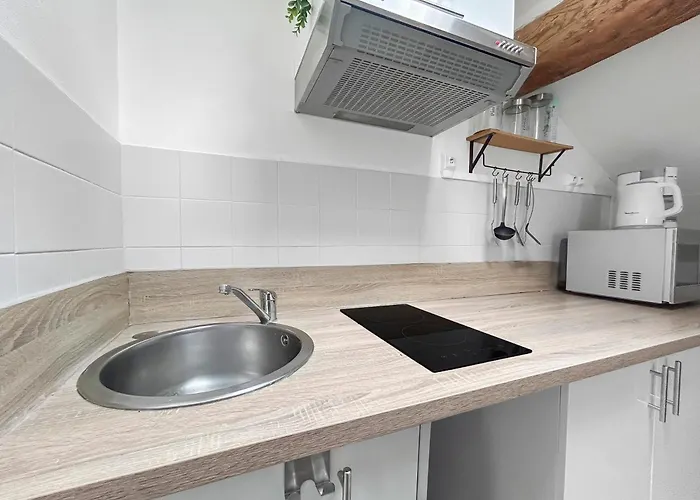 Lumineux Centre Apartment *